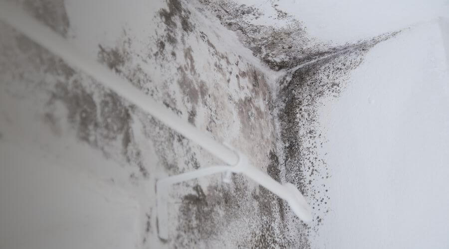 Why choose DriftForce Pros for water damage restoration in Montebello